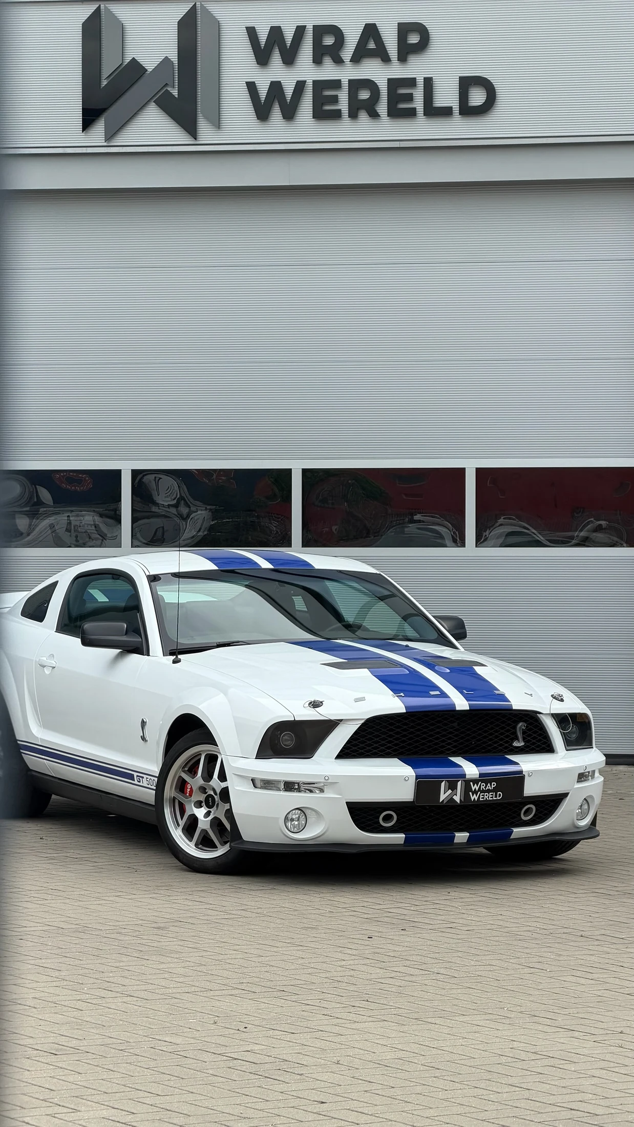 Ford Mustang — Gloss wrap